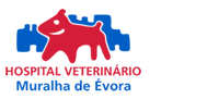 Muralhas_de_evora_hosp_vet